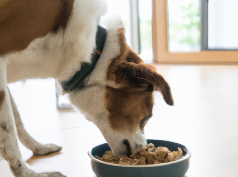 dieta barf per cani le controindicazioni