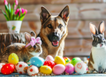 pasqua e animali domestici consigli per trascorrerla in modo sereno e sicuro