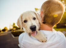 cane vacanza